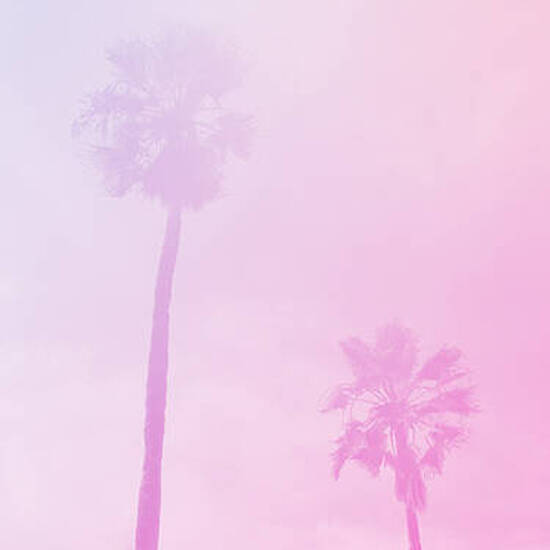 NO ALTERNATIVE TEXT