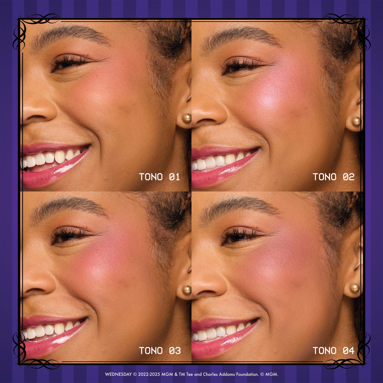 PALETA DE BLUSH VITRAL DE WEDNESDAY